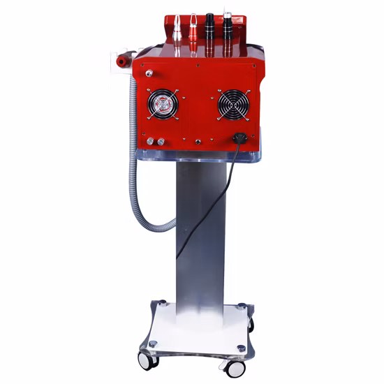 Nuevo láser portátil de picosegundos/Máquina láser Pico Second YAG/755nm 532nm Pico Laser